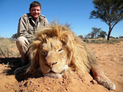 Canned Hunting - The Truth Behind It All